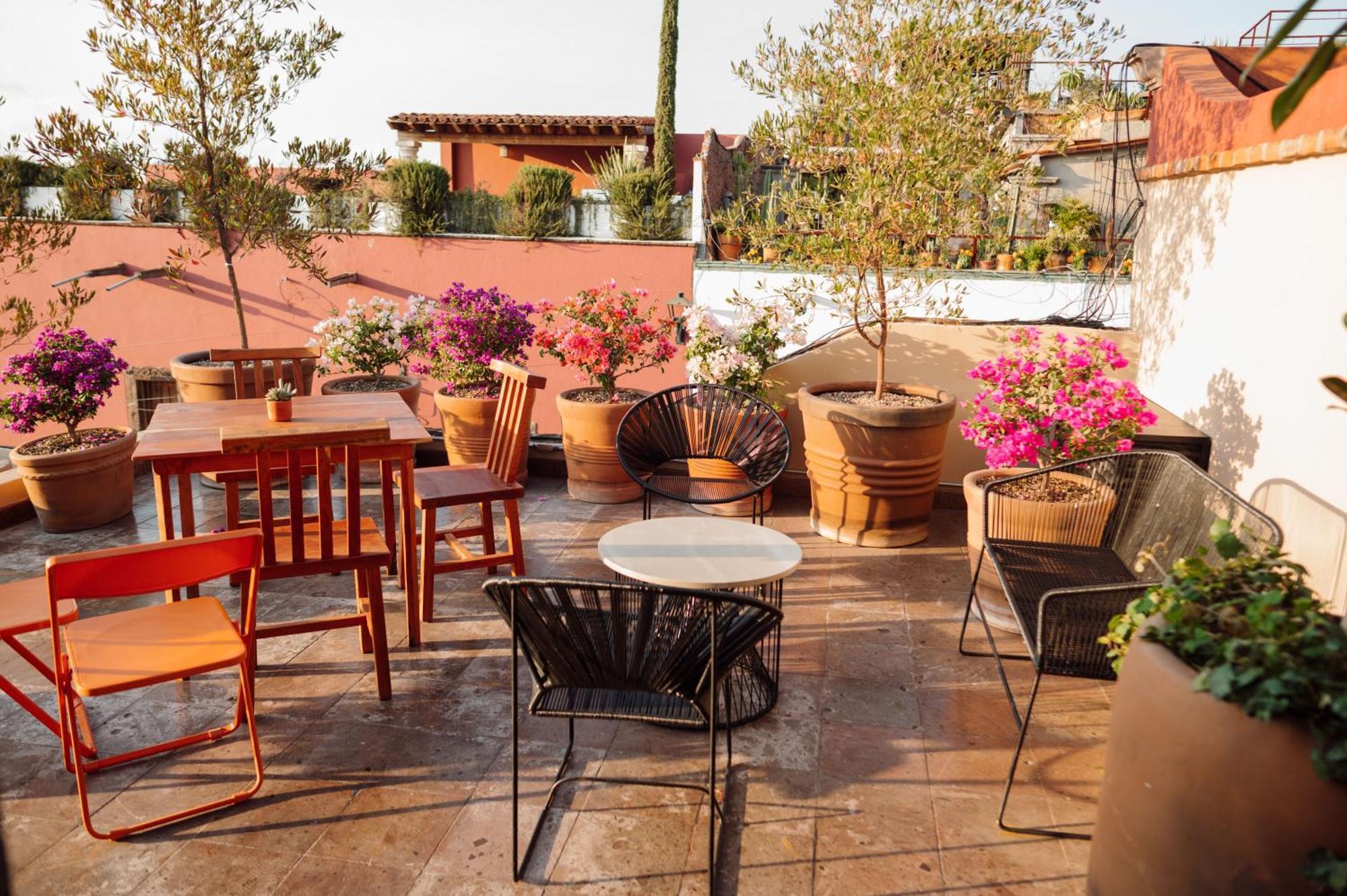 Maison Mexique Hotel Boutique San Miguel De Allende Kültér fotó